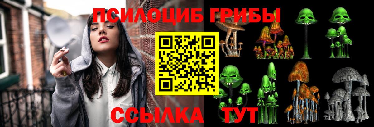 Артём  Псилоцибиновые грибы Cubensis  Вход с VPN  наркошоп  Галлюциногенные грибы мицелий 